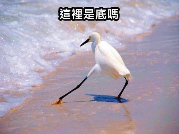 专家称A股仍需高抛低吸别骗我嗷 ​​​