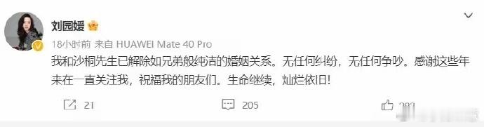 央视名嘴沙桐离婚，妻子自曝13年无性婚姻，原配发文嘲讽：别扯淡。 