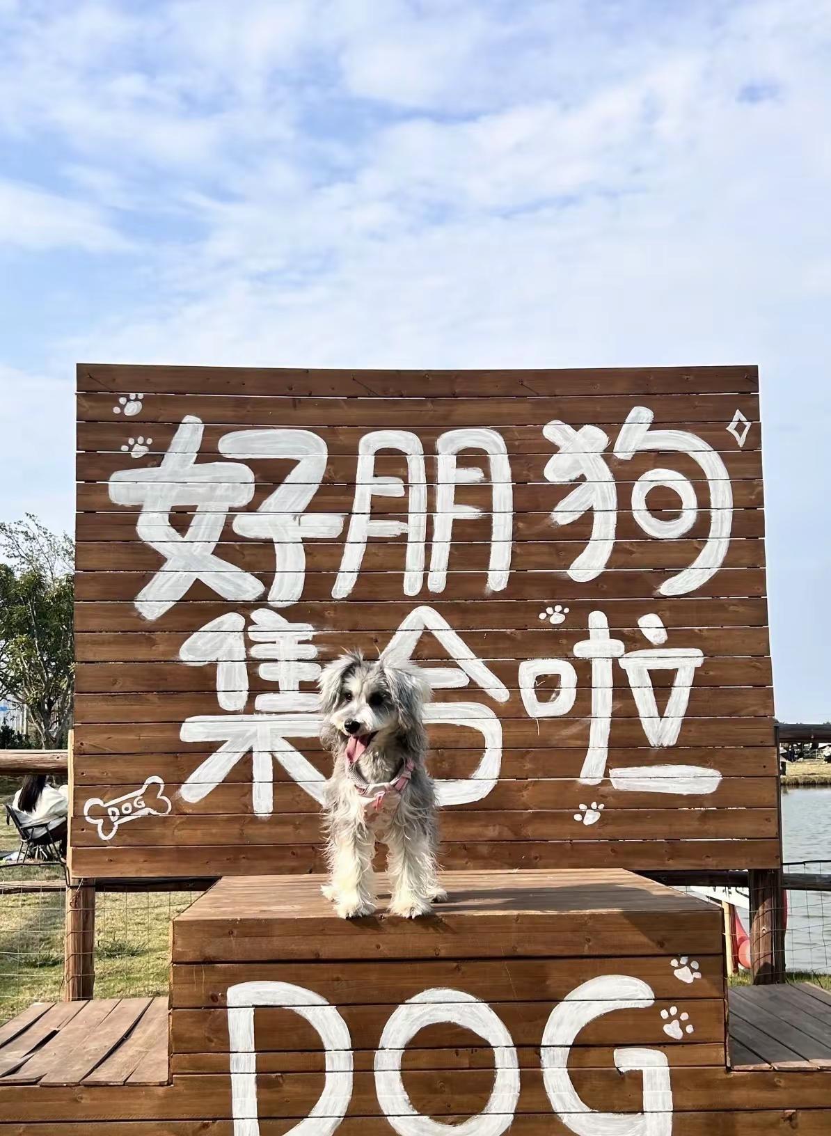Moohu牧湖农场 Moohu牧湖农场 广州游玩 度假农场 周末遛娃