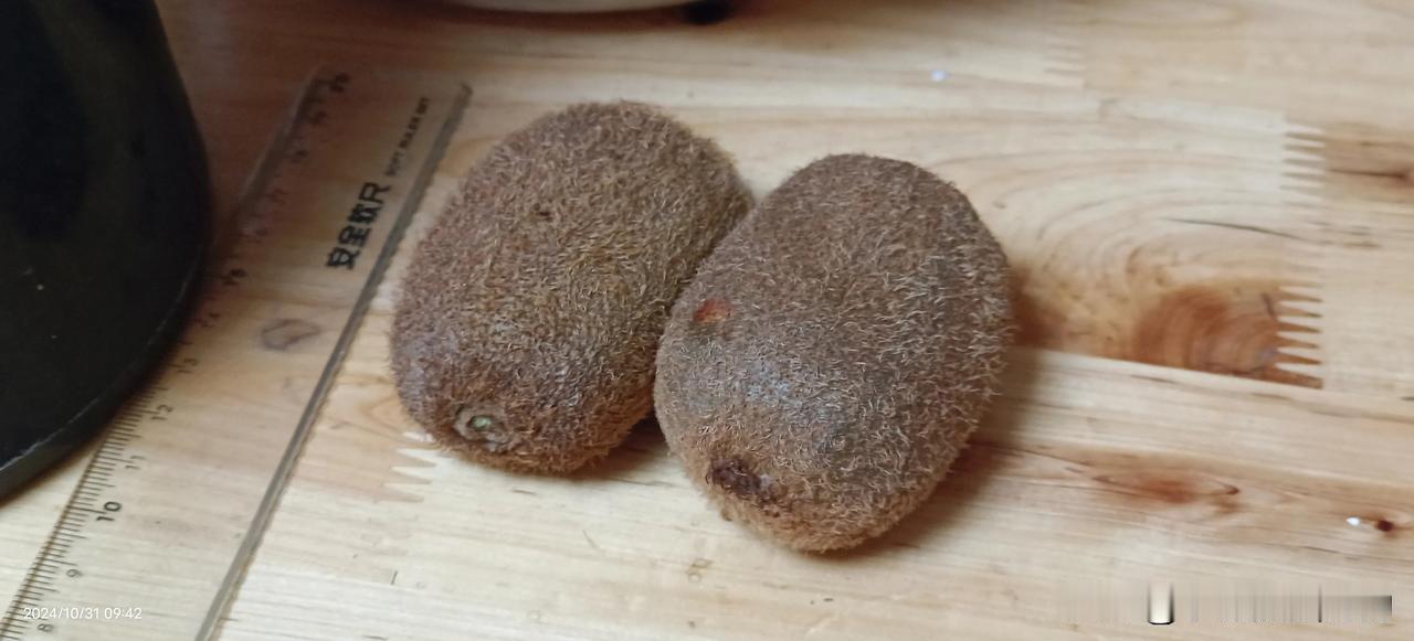 最近有一件头疼事情，每天早餐真是不知道吃什么

今早早餐很简单，儿子说要考试得要