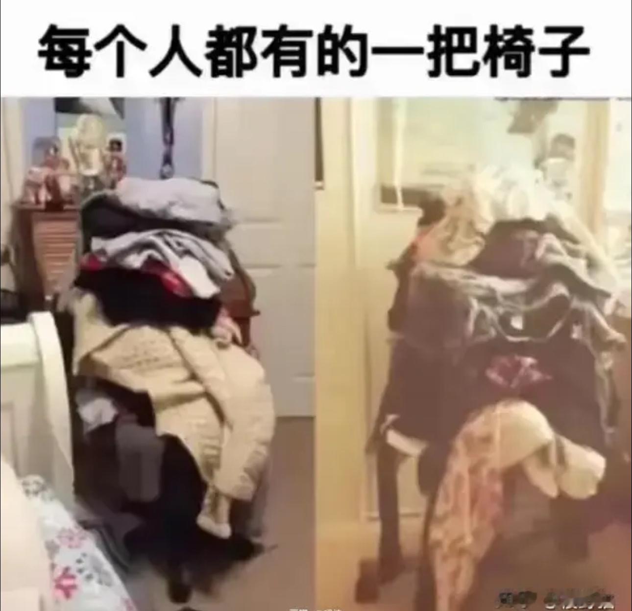 是我本人没错了 ​​​