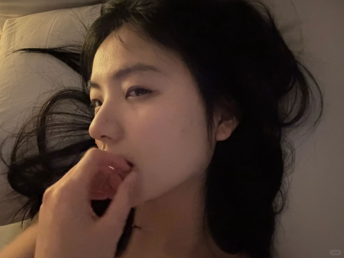 说一声新年快乐