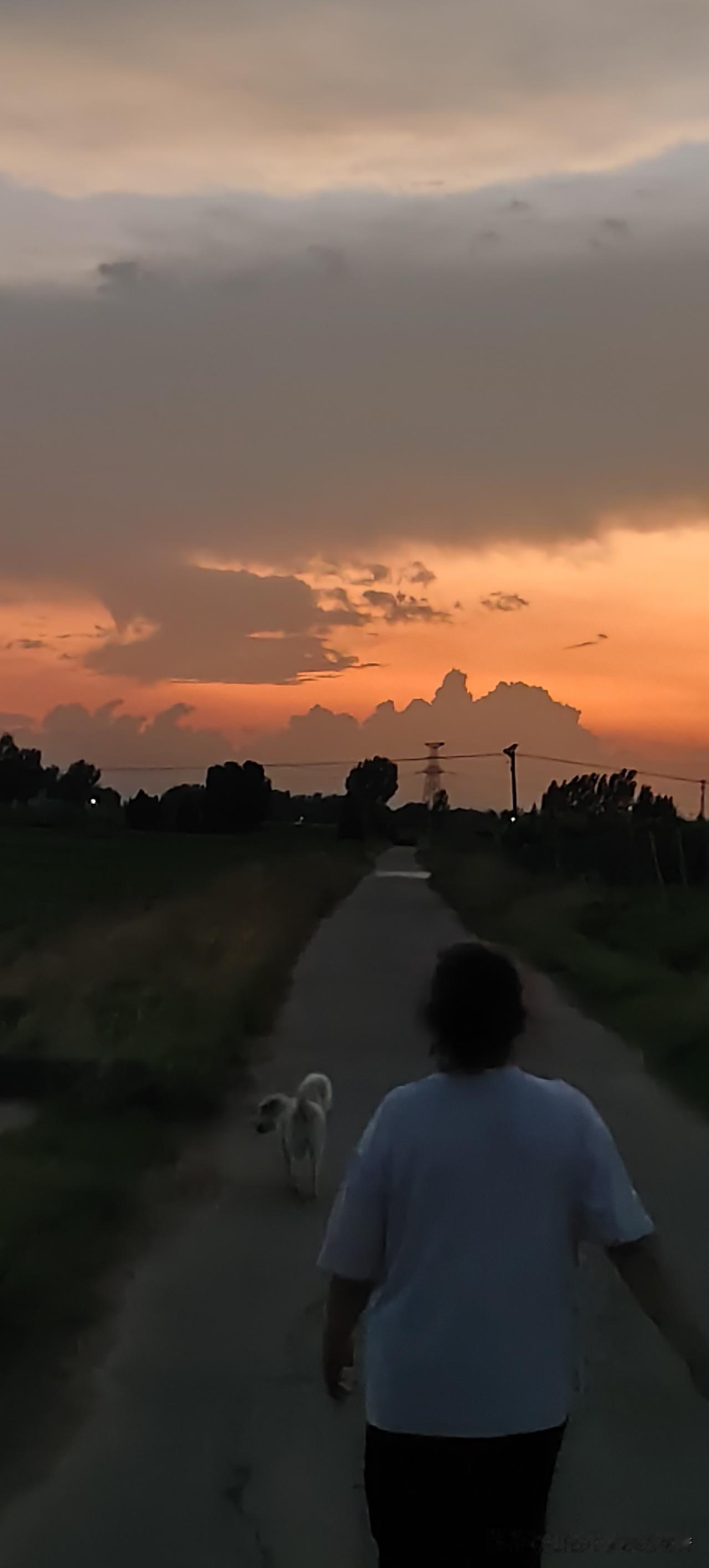 黄昏漫步，与爱犬同行，享受宁静的乡村时光。🌅🐾🌿