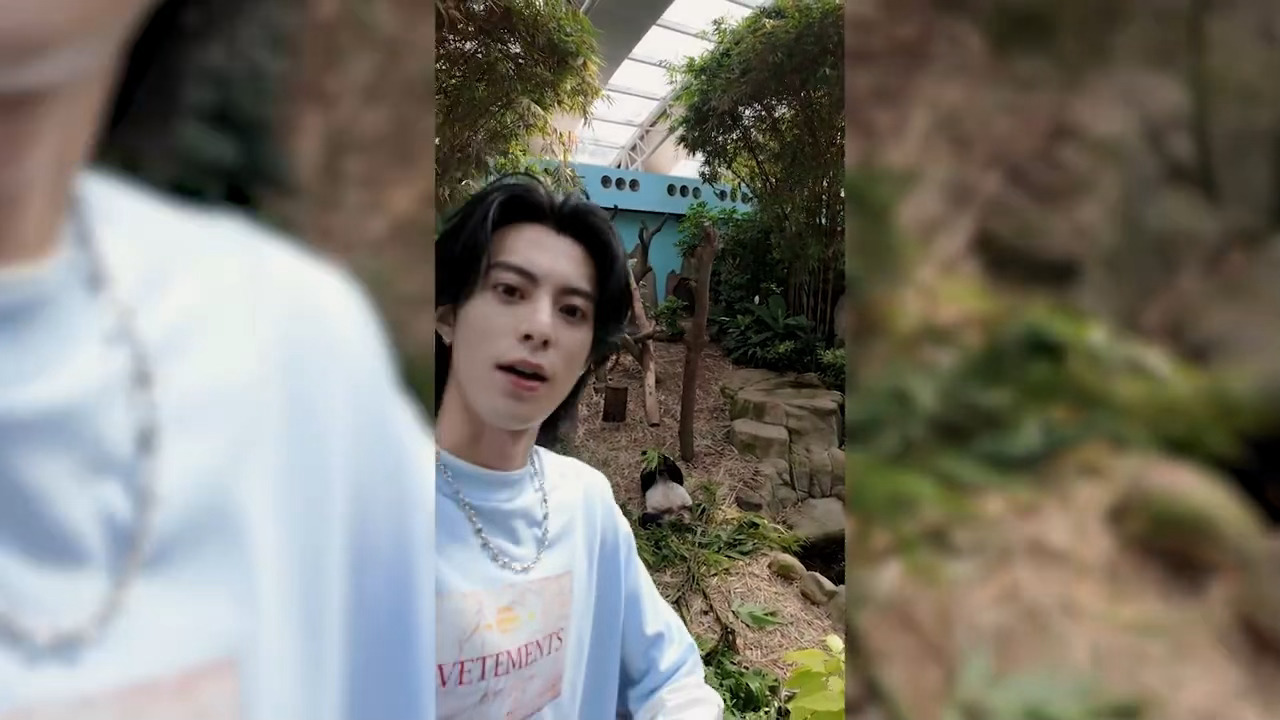 我们鹤棣在新加坡跟熊猫老乡说家乡话出发新加坡反正好玩✨王鹤棣