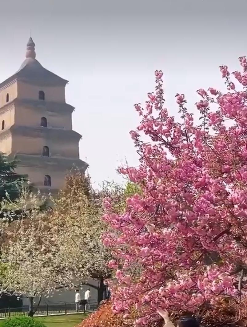 真心朋友說啥都行，
人生有緣喝水也甜，
心中親人無價之寶，
牽掛的朋友最真誠。