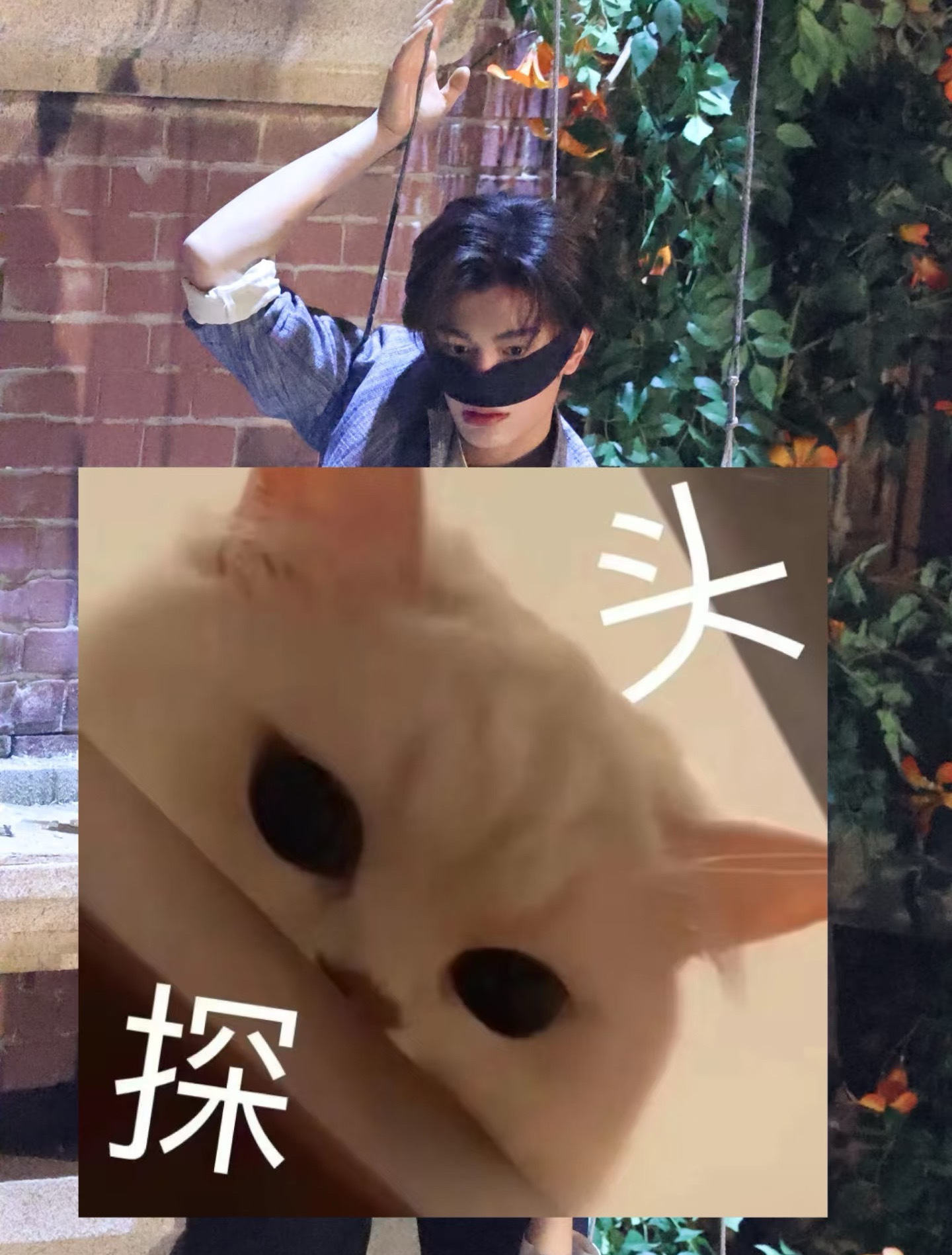 丁禹兮蒙脸吊威亚路透 丁禹兮《南部档案》蒙脸吊威亚路透🈶，这也太帅了吧。生图颜