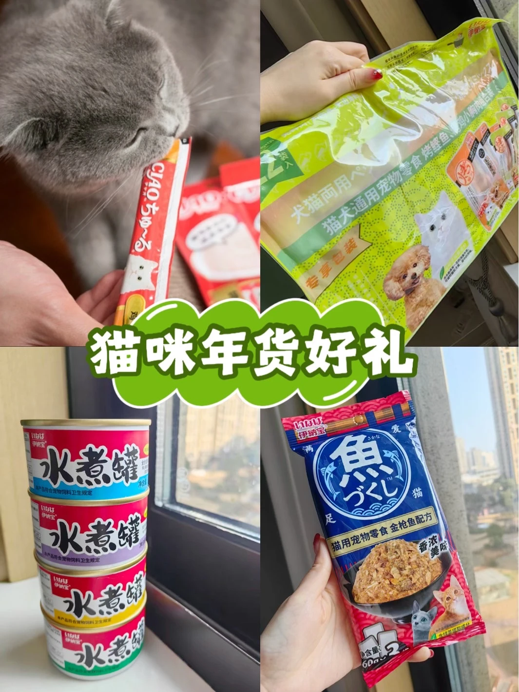 严选：猫咪年货好礼🎁