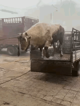 每当看着这种情况，就有种想冲过去揍他们一顿的想法！😲