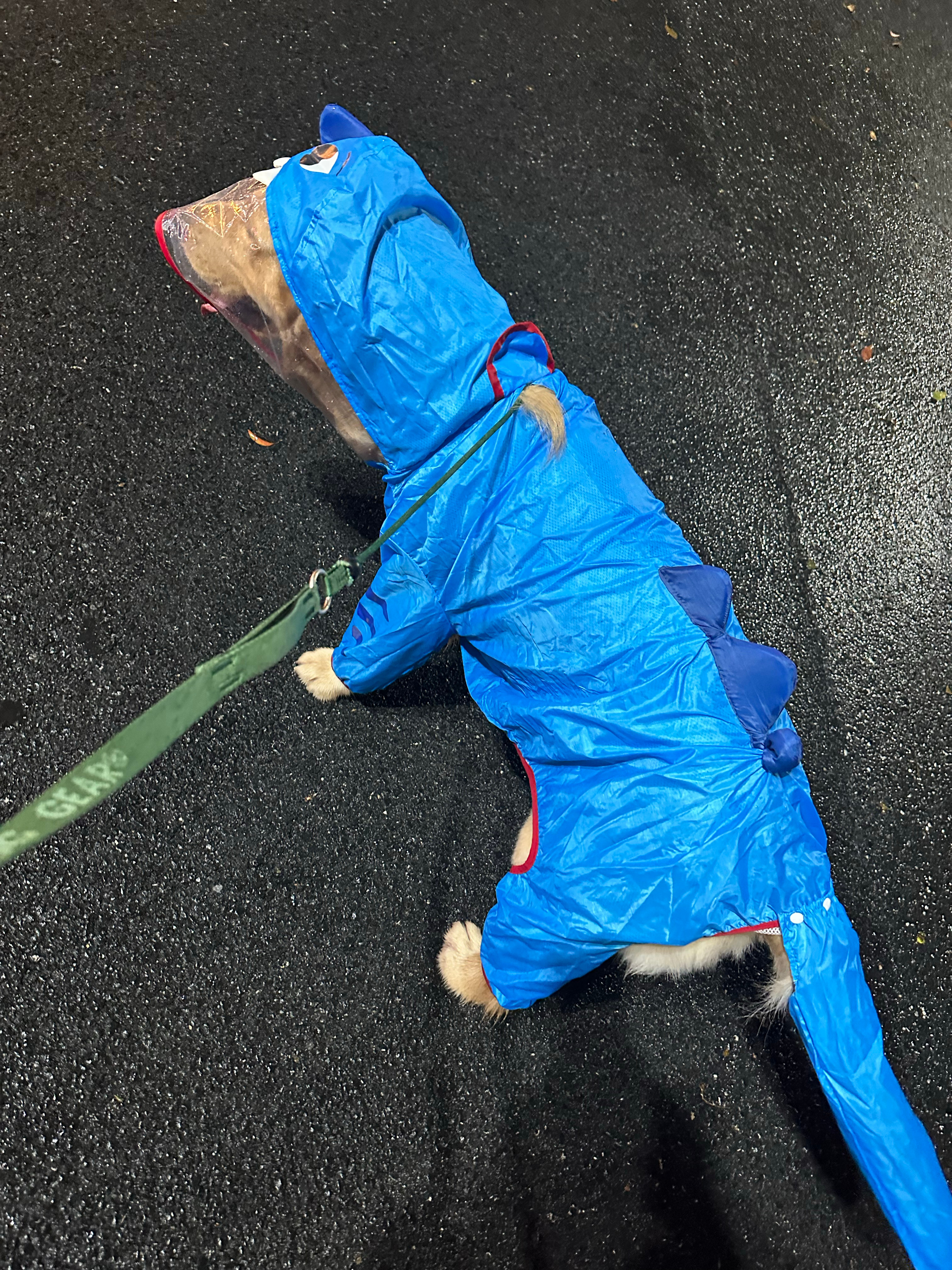 万幸得以相识最后 祝你早安午安晚安 ​​​