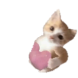 日记的第一页 爱老己的新一年 