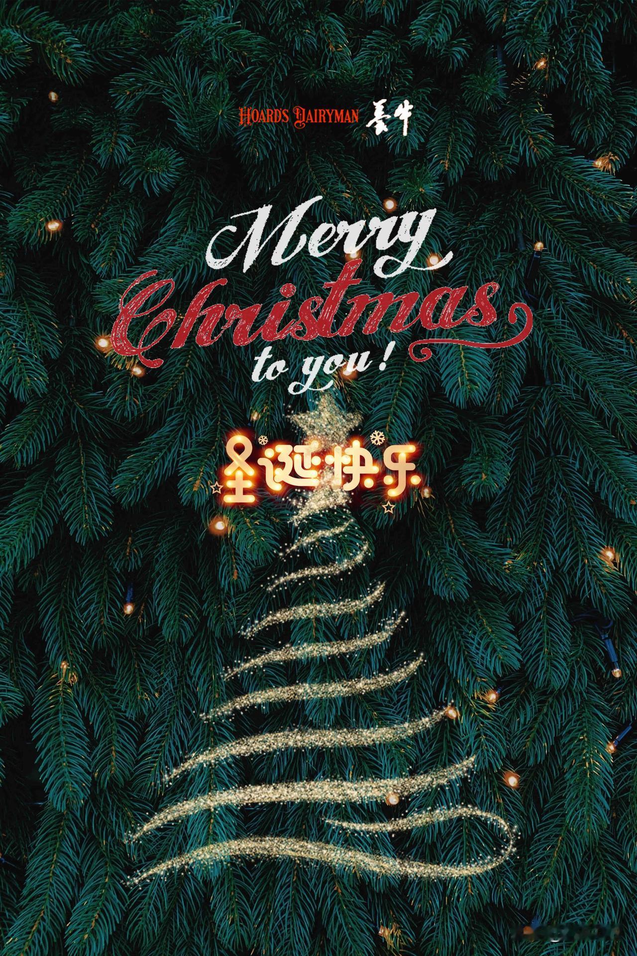 Merry christmas[祝福]