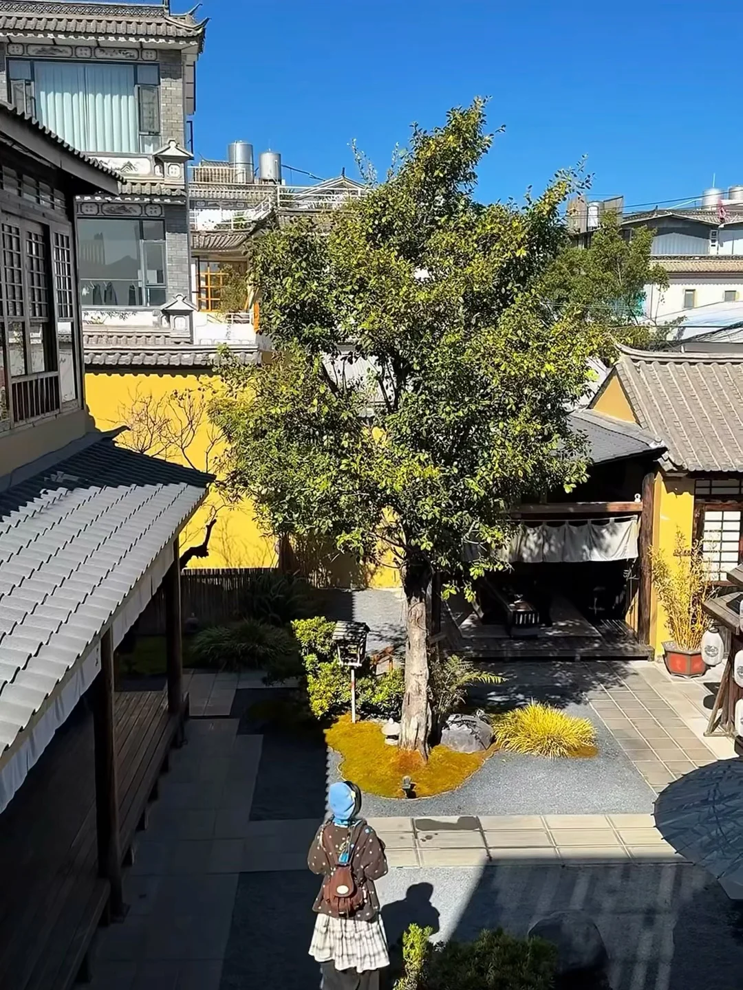 大理第一次住哪？选这里🏡