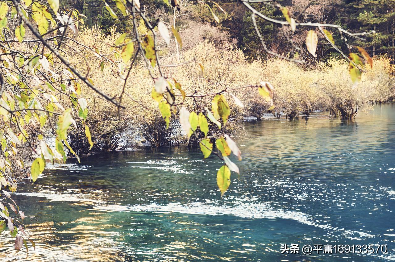 秋日河畔，那金黄落叶飘舞的画面，真的美得像首诗。就像红荷湿地，秋去冬来，层林尽染