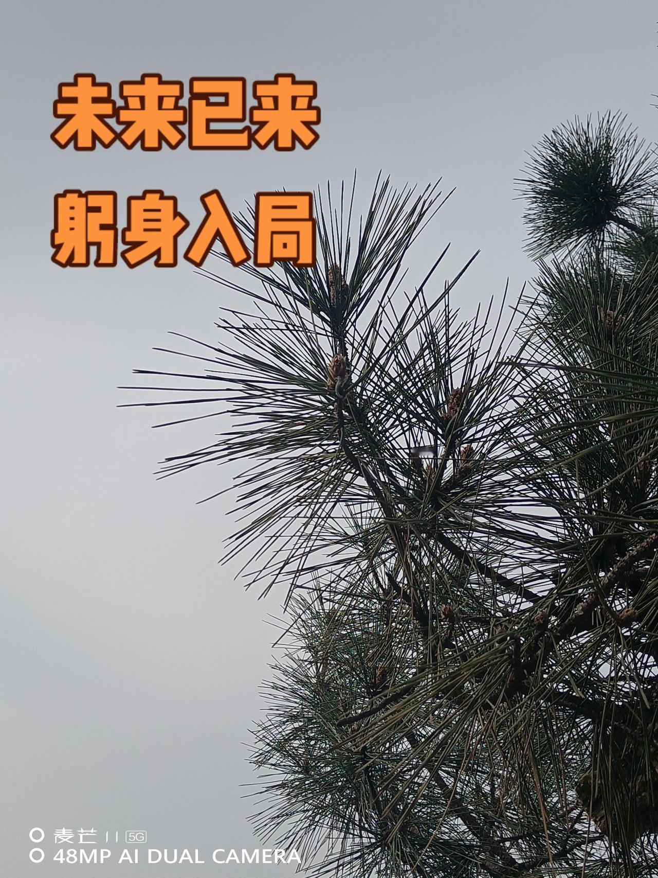 上热门话题 随时随地记录身边事 用抖音记录人生 摄影日记足迹原创