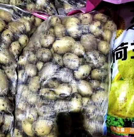 这事儿，把货车司机坑惨了！拉 35 吨土豆走绿通下高速，收费员检查后非说这是土豆