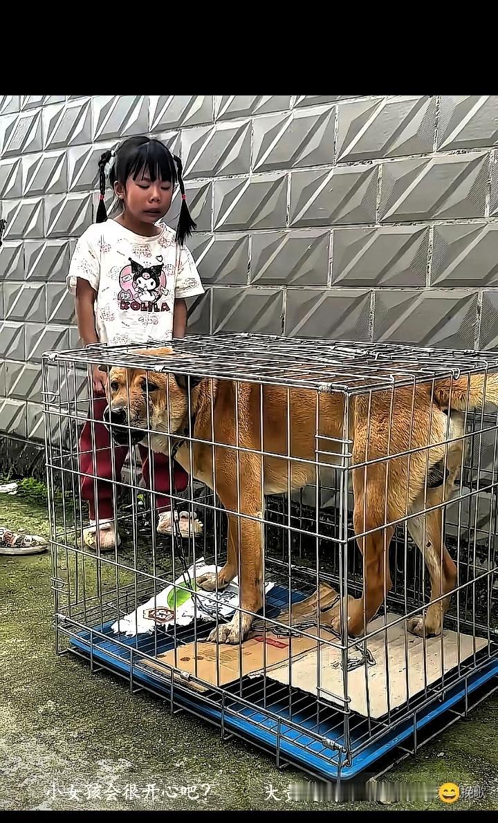 广西桂林，老奶奶1500元卖掉了跟随多年的大黄狗，正当狗贩子把大黄关在笼子里准备