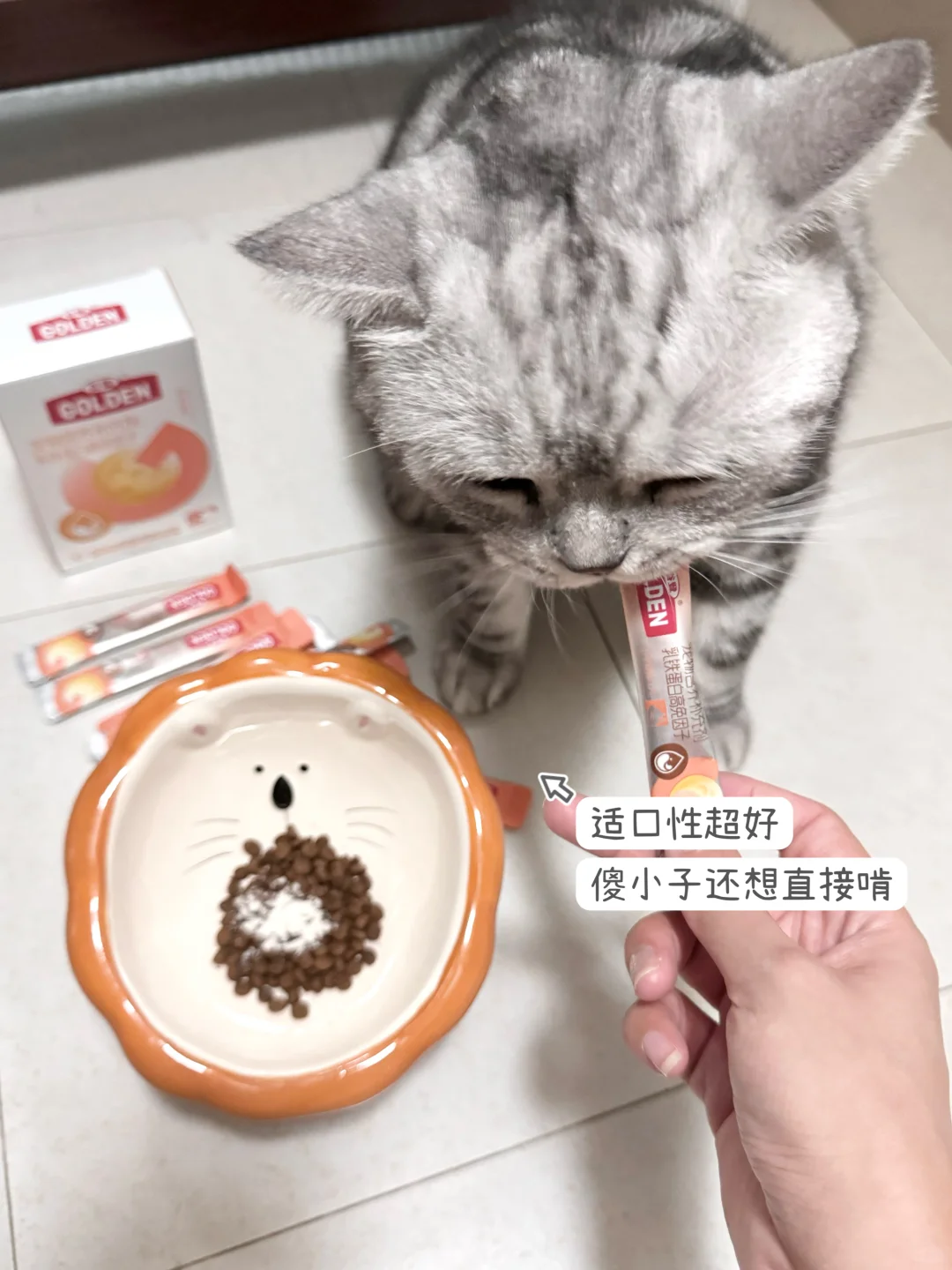 猫咪真的需要乳铁蛋白吗🥲