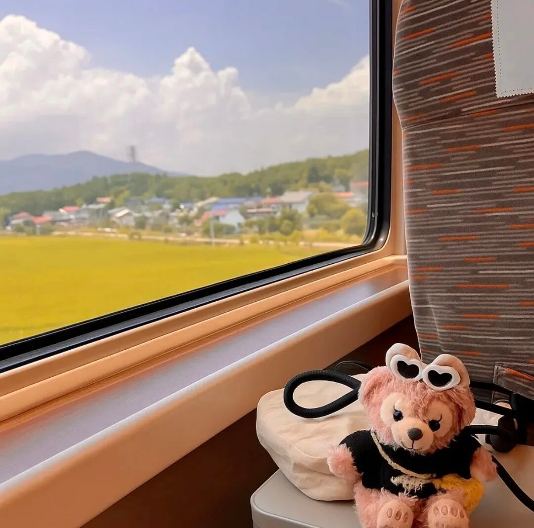 忍住和喜欢的人不联系 那种痛谁又能懂呢 ​​​