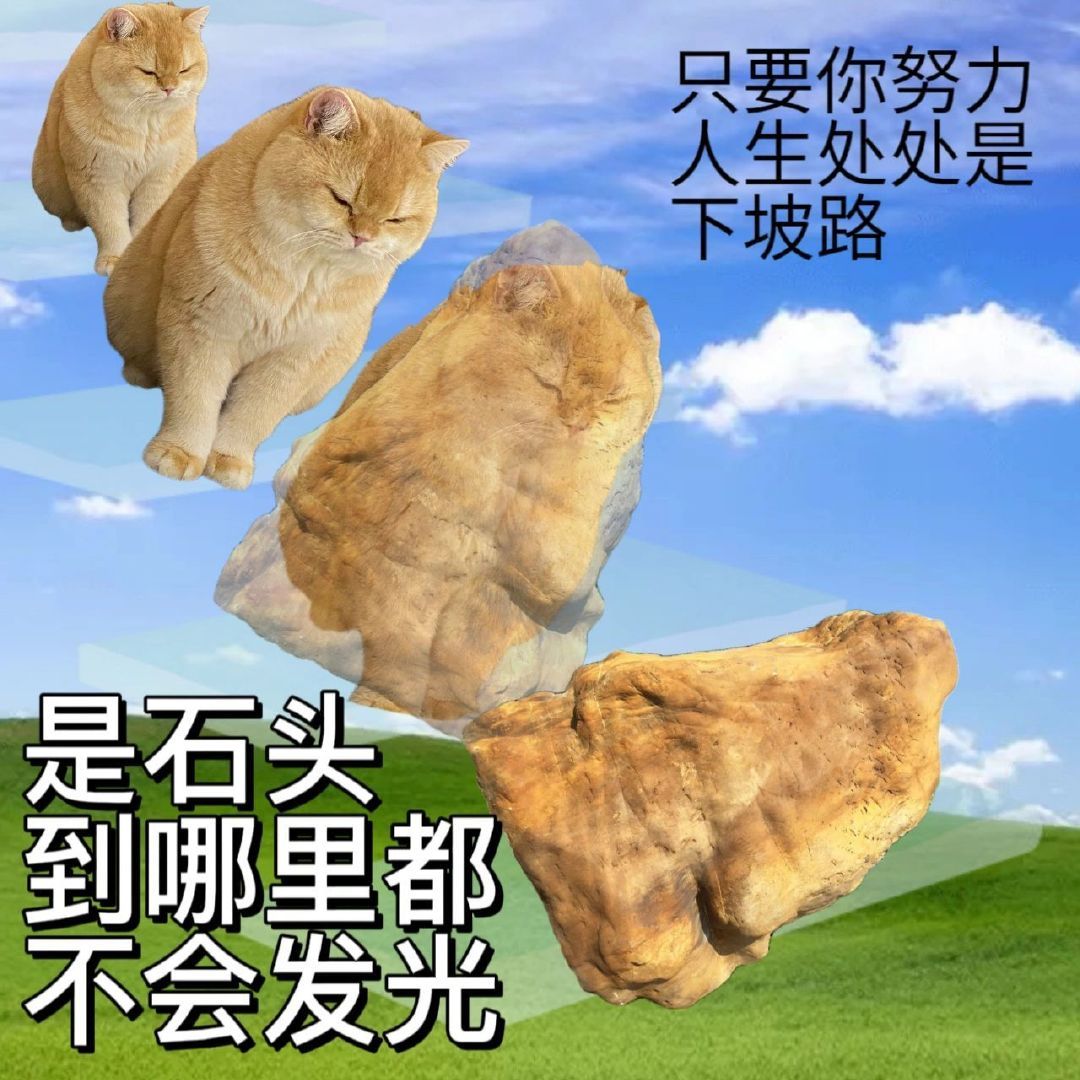 每日表情包分享时间 #表情包# ​​​