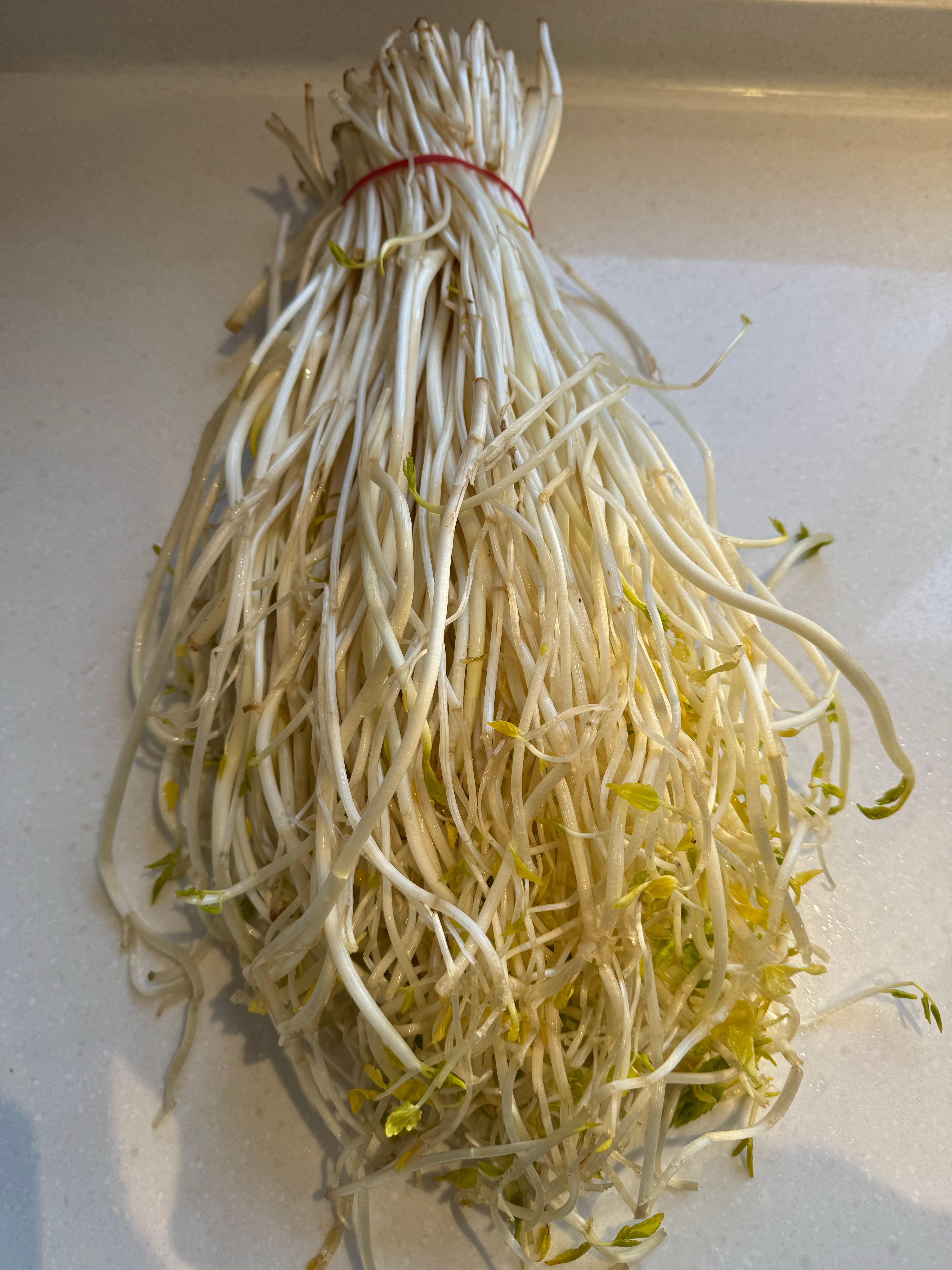 吊州溧阳蔬菜的爱马仕、外地车友大部分应该都没见过、也没吃过这个吧？溧阳白芹追溯历