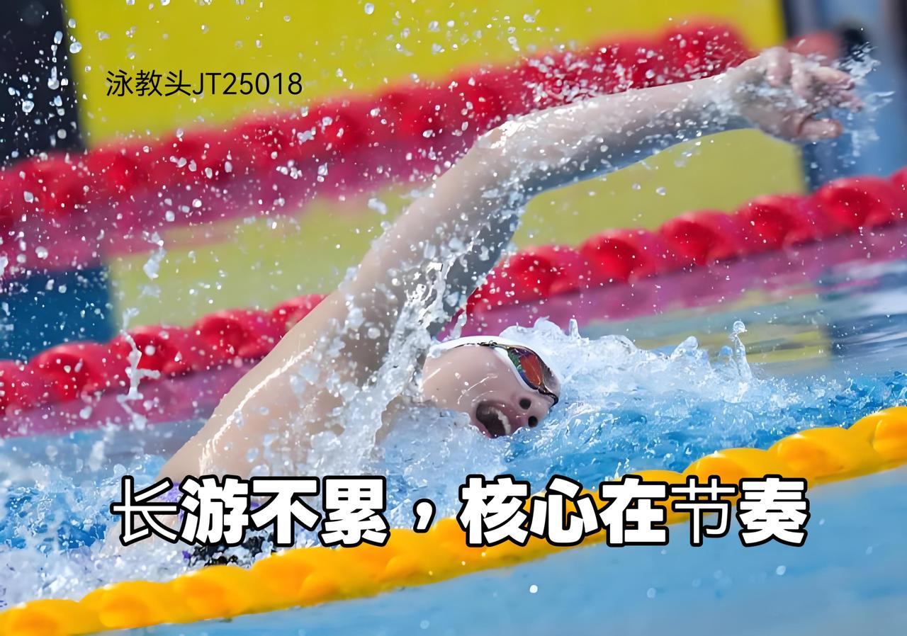 泳教头 | 泳讲堂：长游不累，核心在节奏
 
很多游泳爱好者都有这样的困扰：没游