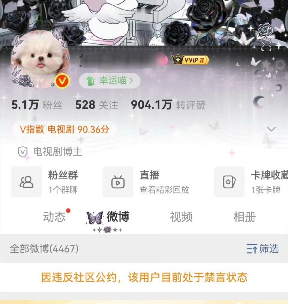 温如也又又又又被禁言了，其实禁言是一方面，另一方面，每天泡在网上以嘿女明星谋生，