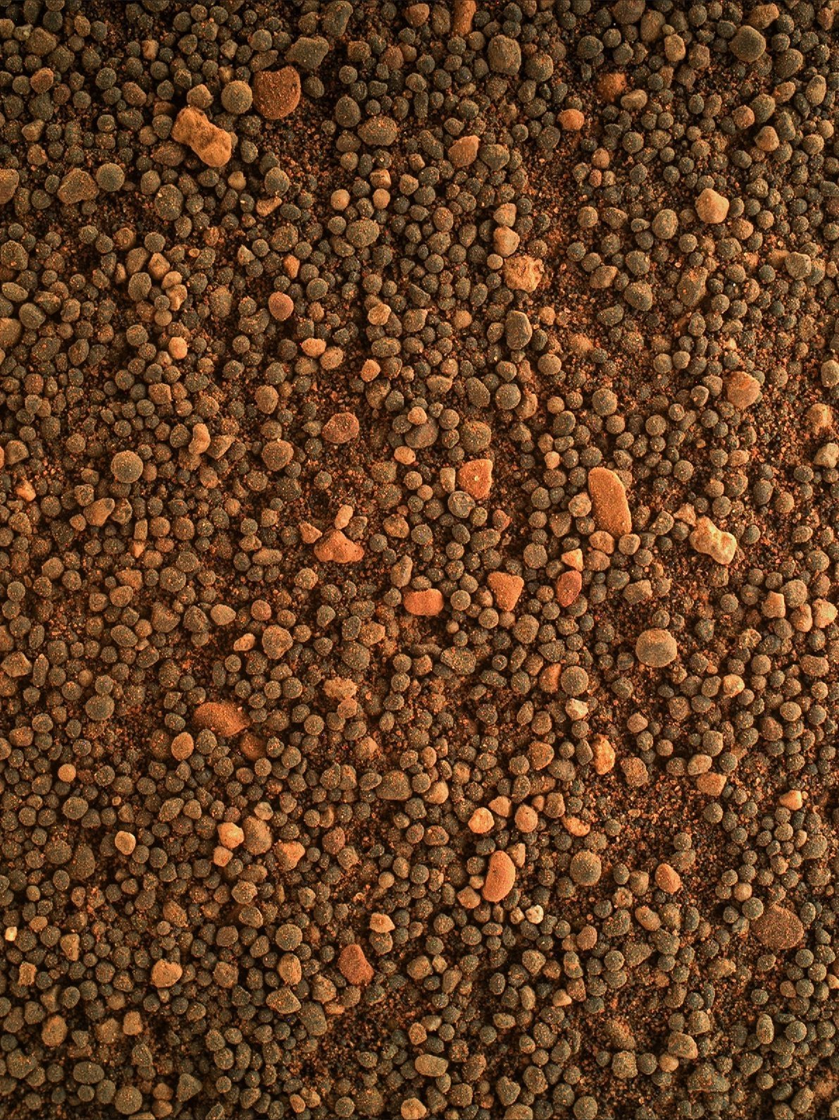 这是一张非常不协调的照片。只是一堆沙粒。但它们是火星上的沙粒。 ​​​