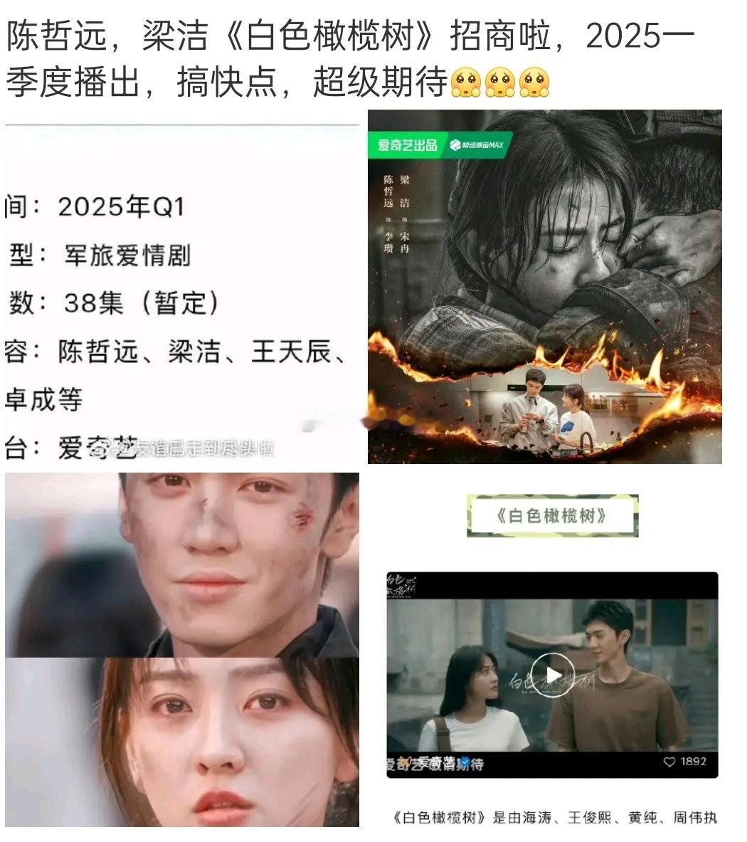 我没看过《白色橄榄树》，但也听说过男主的人设巨巨巨好远儿，这种IP，这种人设，要