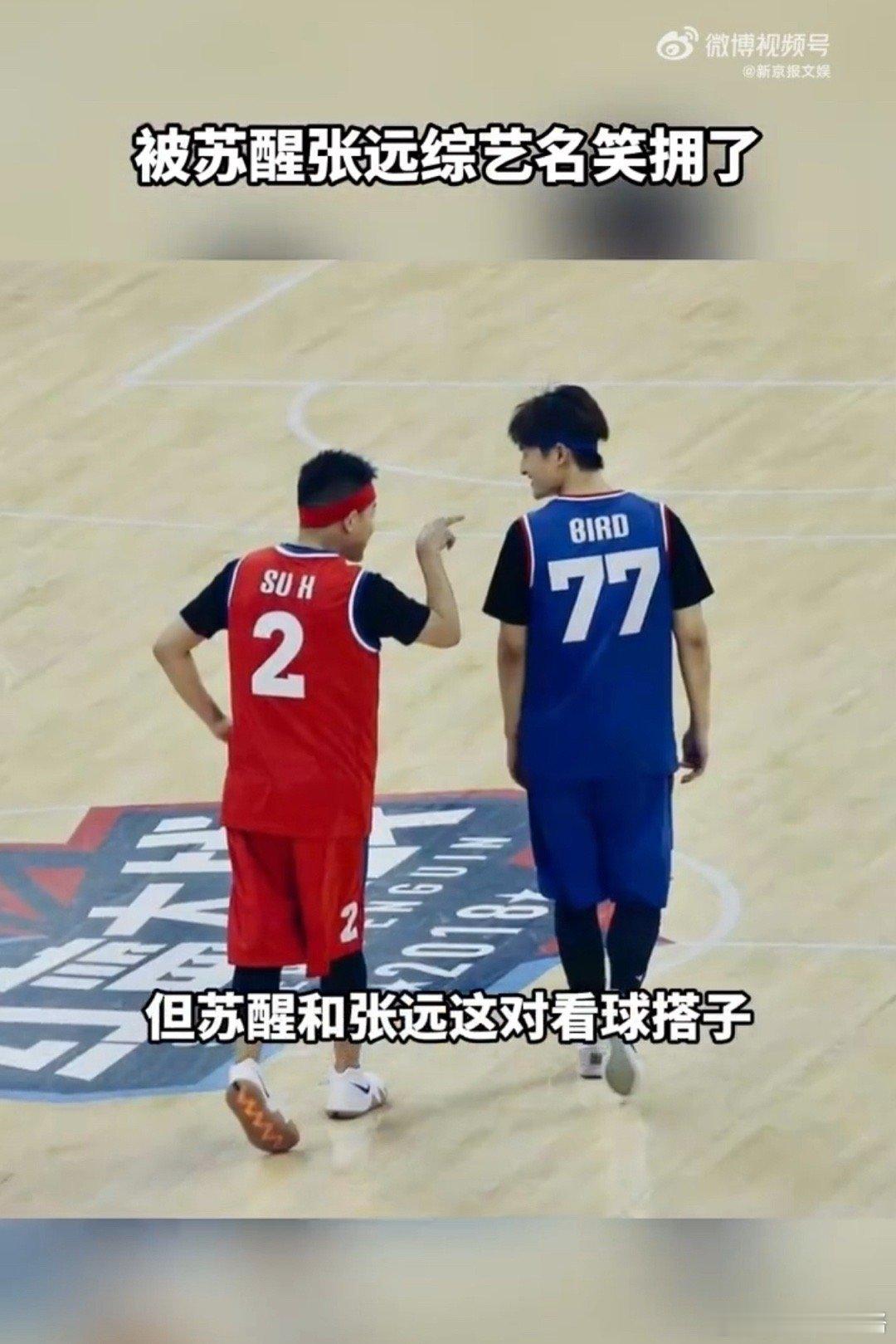 #网友给苏醒新综艺起名好city#这段真的是小发财了，每个名字都很有创意，感受到