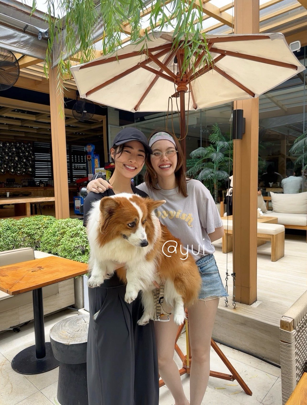 不行了私下被遇到就怎么素素的，看到可爱的狗狗会主动要求拍照，一个女孩+另一个女孩