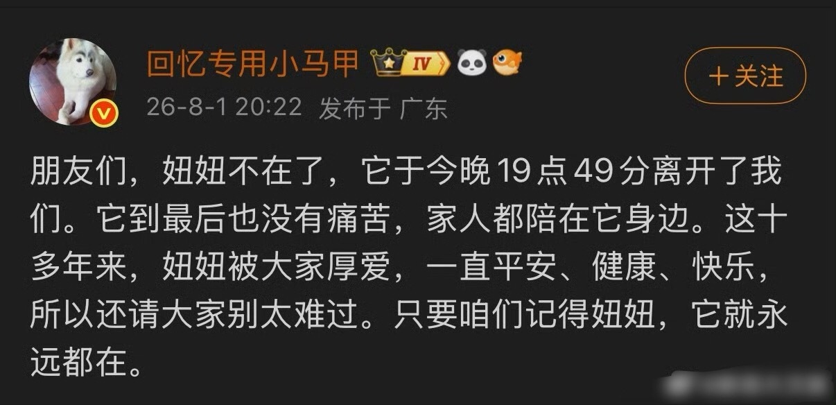 回忆专用小马甲的小狗妞妞去世时间过的好快，momo 阿D 妞妞，我的初代互联网小