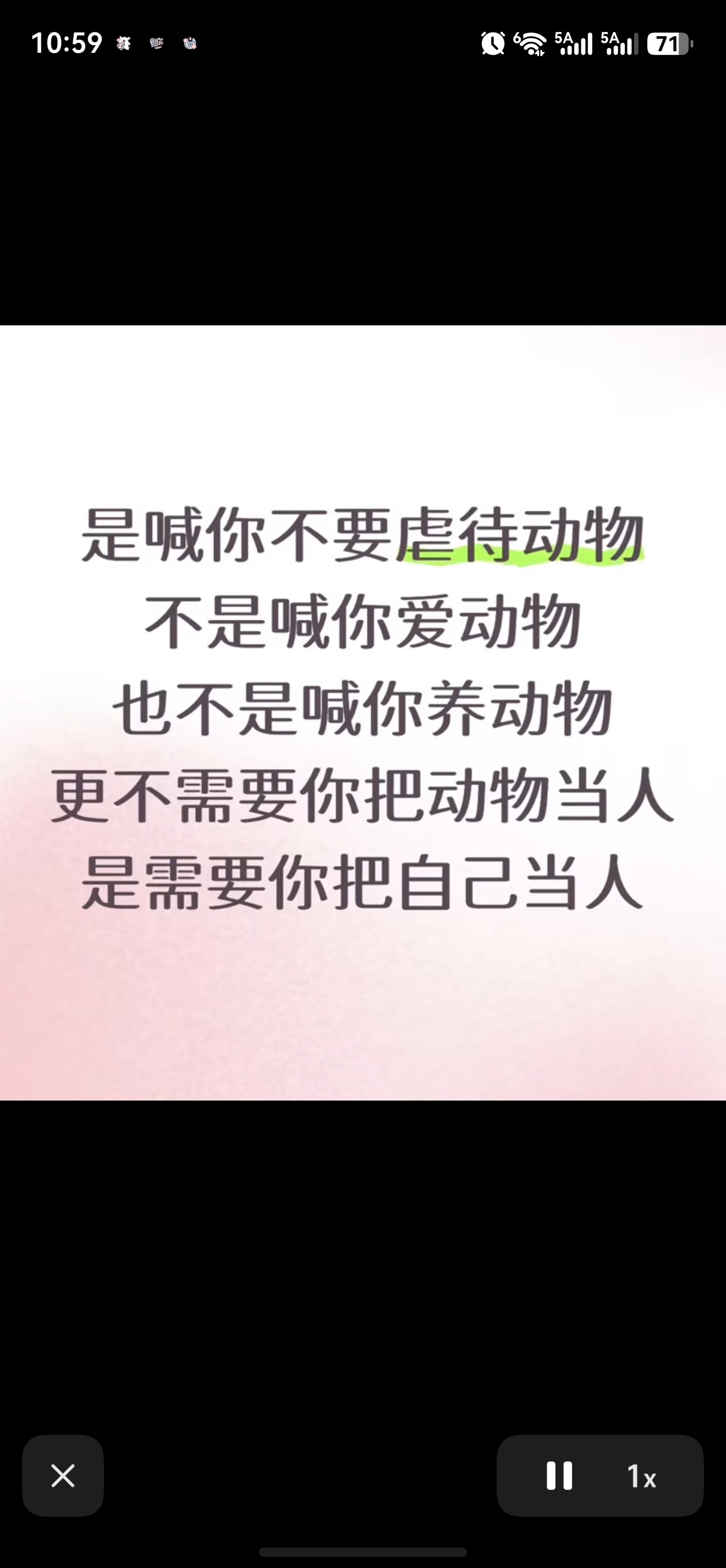 请看↓旺旺