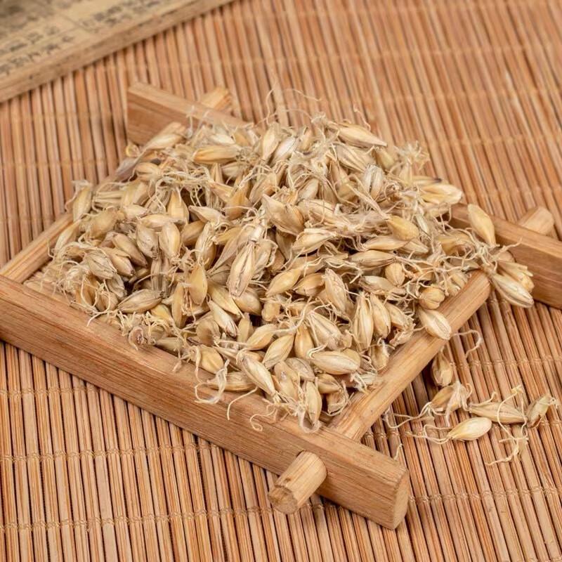 生麦芽与熟麦芽：炮制不同，作用不同，可别用错了！
1、生麦芽：偏于疏肝行气、消食