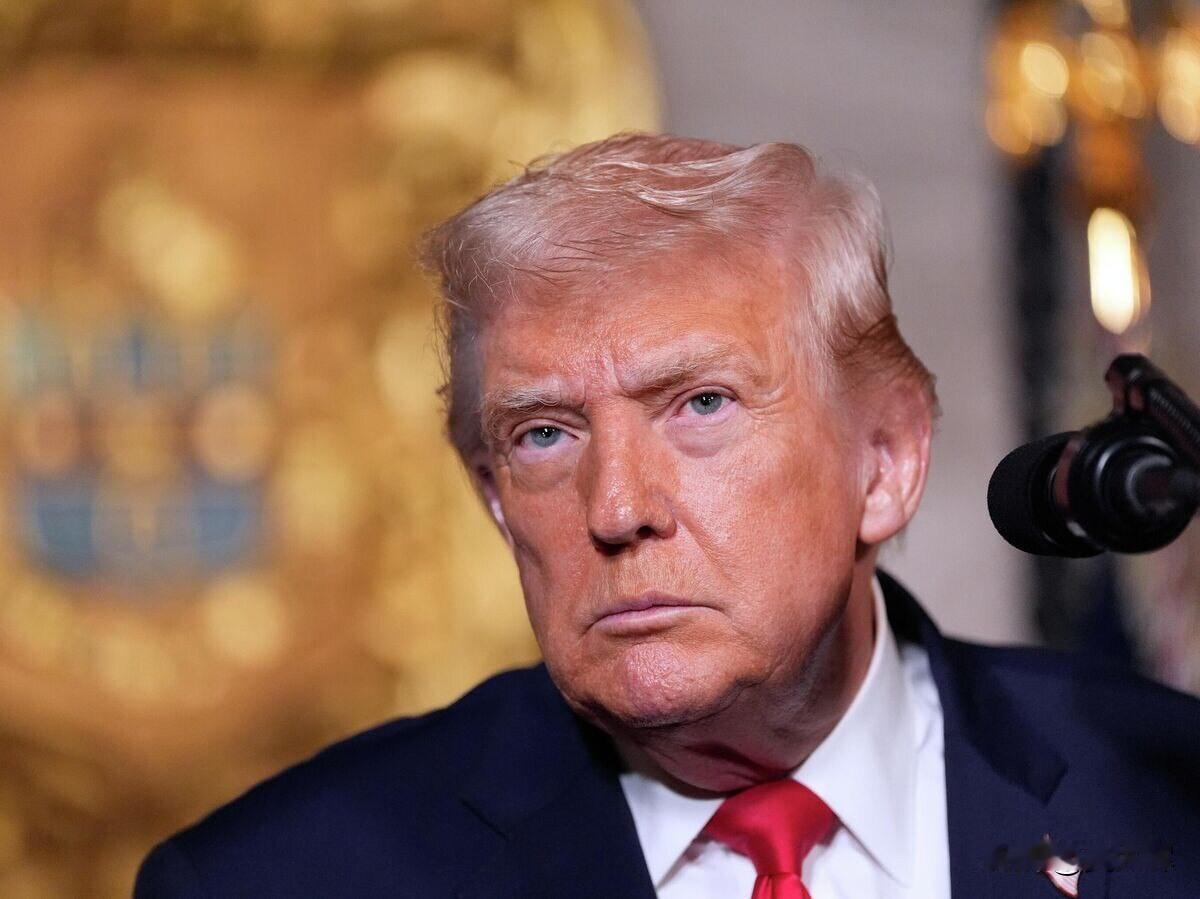 特朗普称美国将通过矿产资源交易收回对乌投入资金
 
特朗普表示，美方有信心通过与