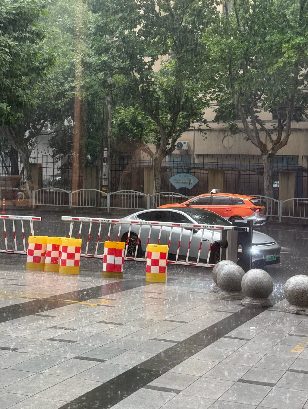 上次来上海也是下雨天呢 能不能天天入境