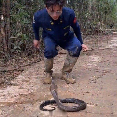 专业人员赴广西日抓毒蛇20余条为民除患 西安·华严寺