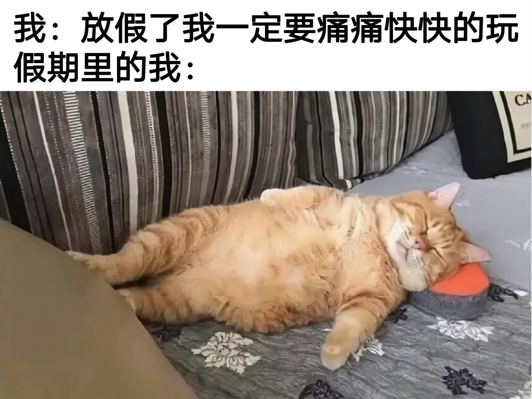 我的清明假期belike 