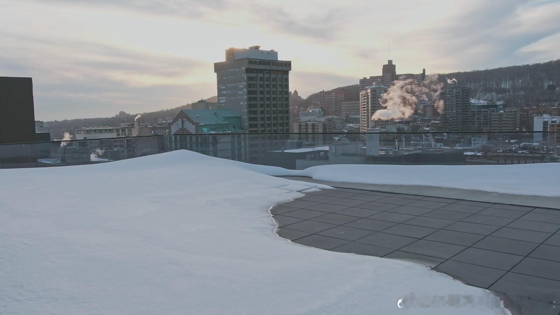 隐迹之书：重写自我 编导、剪辑 雪美莲摄影指导 梁铭佳（《地母》） ​​​