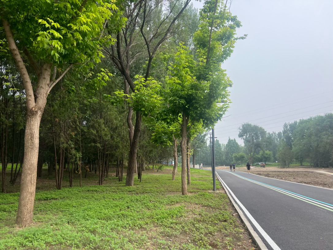 今天晚上带他一起看了5哈看的狼人杀入迷了！到10点明天继续看完哈端午节明天放假三