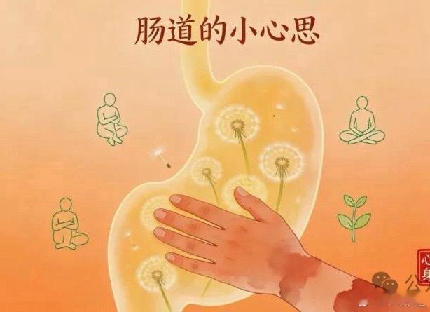 胃不好的人每天belike胃不好真的很影响心情。明明没吃啥，却一直胀气打嗝，出门