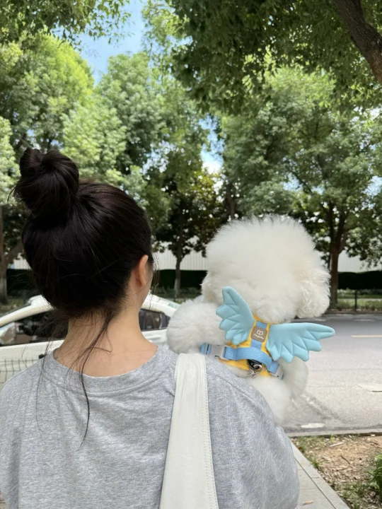 👀车车怎么还不来呢