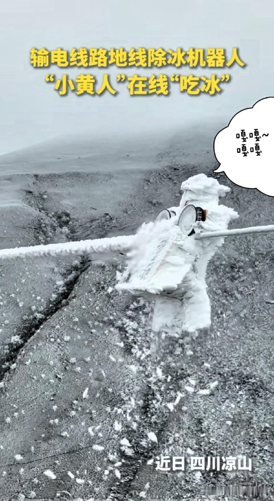图片里，它像只胖墩墩的“企鹅”，张开“嘴巴”一口咬住电线上的冰棱，发出“嘎嘎”脆