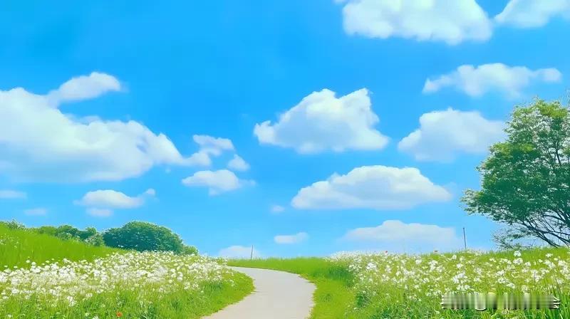 分享两处超治愈的风景。一处是微雨后的山间，苔痕似墨晕染，阳光从云隙投下光柱，细尘