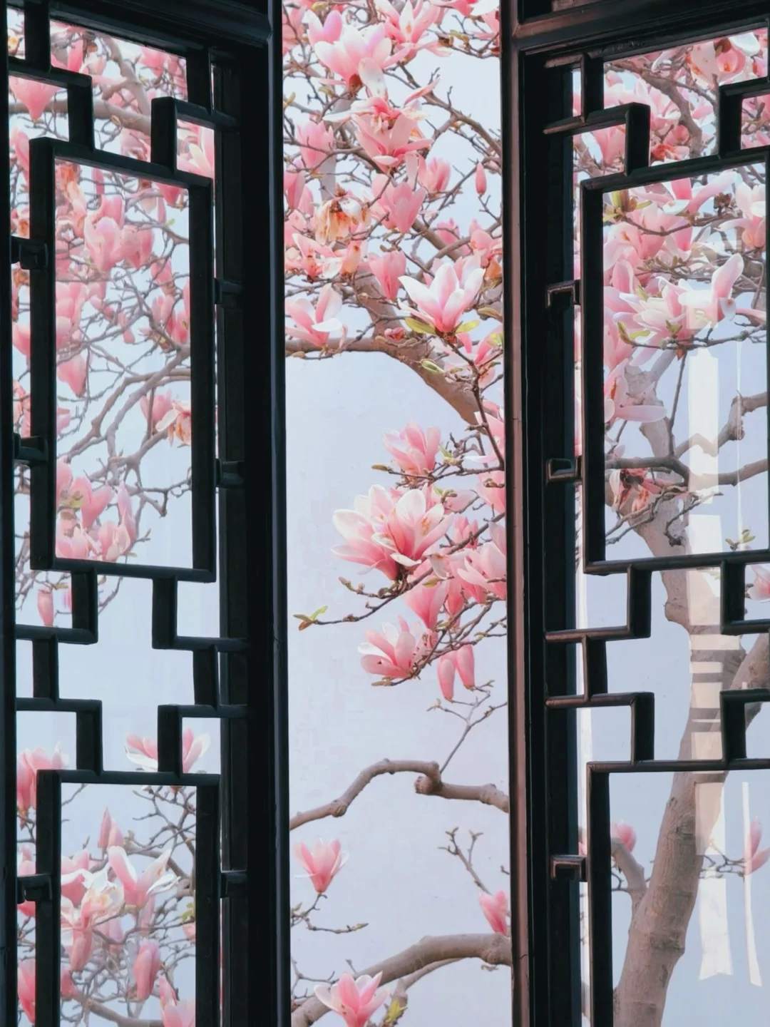 3.20live耦园实拍 | 老祖宗的顶级中式审美