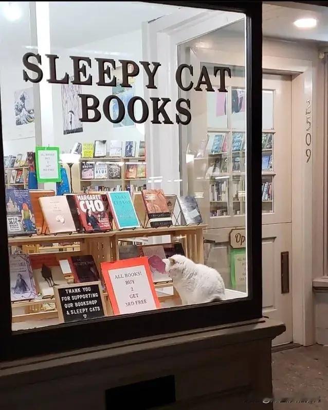 看守书店的猫猫，万万没想到自己吃了不识字的亏！