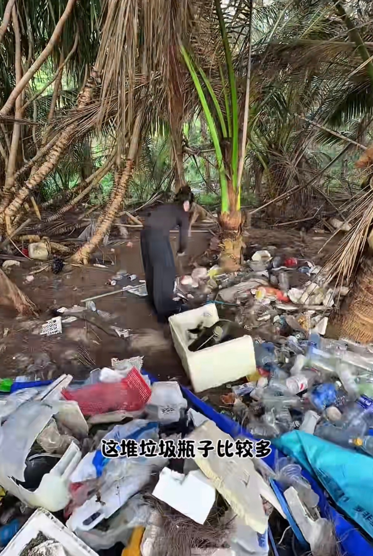 某综艺节目在海岛遗弃造景垃圾半夜看得我来气按理说户外综艺对保护环境应该更用心选在