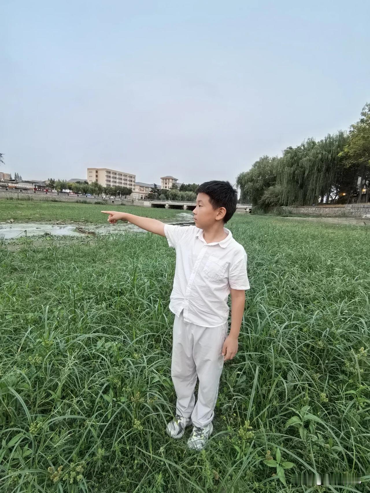 每天都要在振兴路苍源河桥上带上上走过四次。秋季以来，基本没有下雨，河床大部分干涸