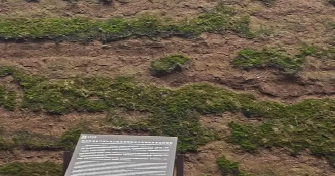 西安连续一个多月降雨遍地长蘑菇，大雁塔受潮，城墙布满青苔，气象局解释成因