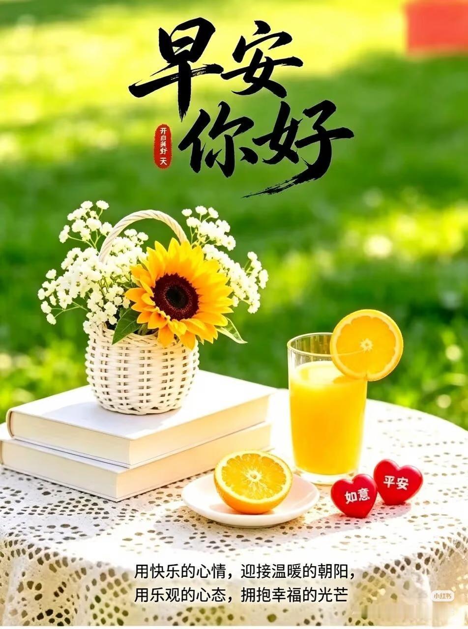 早上好，今天是8月28日星期五，女排亚锦赛第八天。
今晚19点30分，1/4淘汰