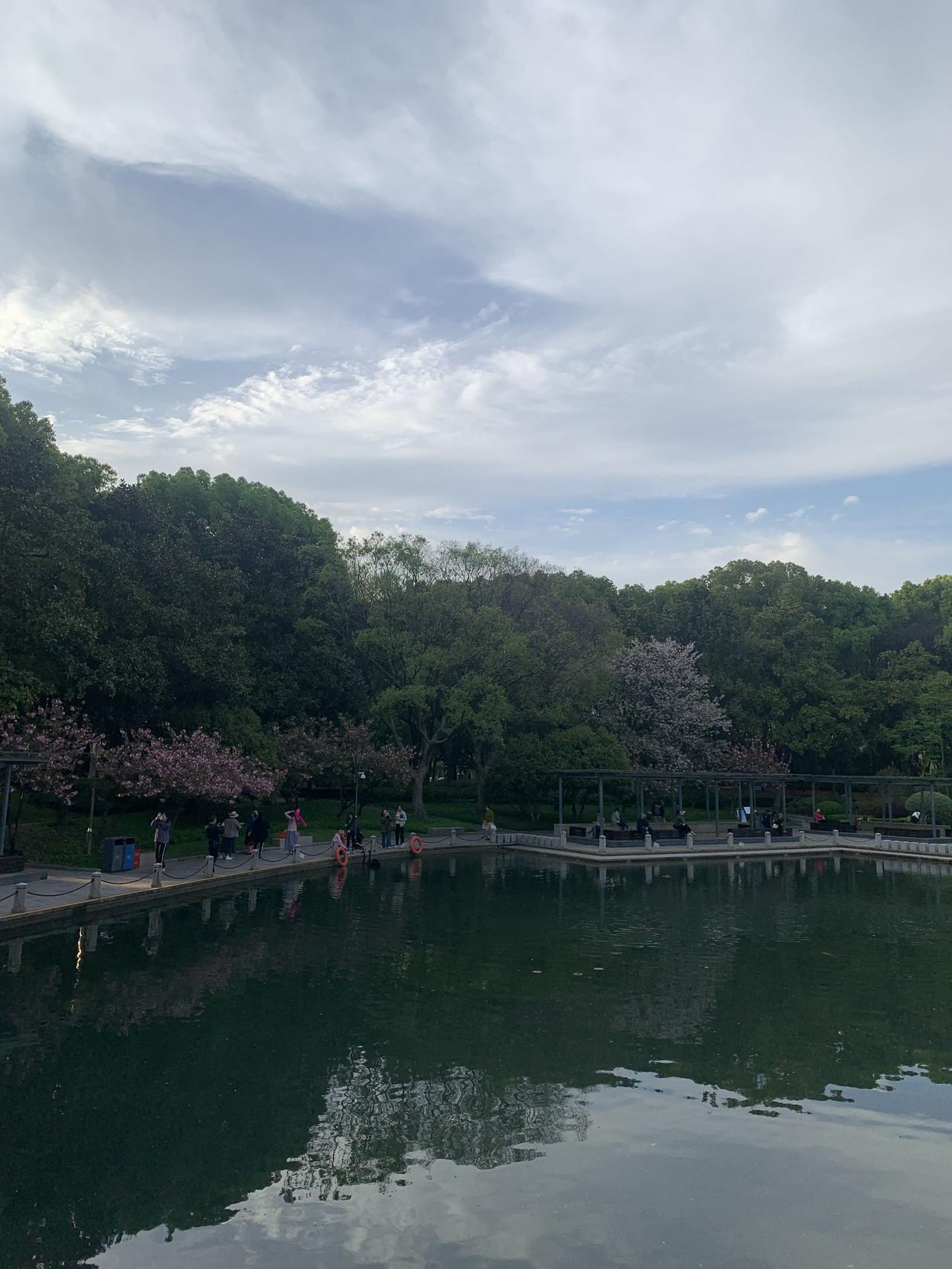 生肖马的晚年生活相当精彩。他们骨子里洒脱，清晨就开启活力模式，在公园打太极、快走